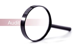 Audit Image